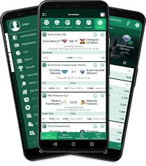 Everything You Need to Know About Bet Winner Everything You Need to Know About Bet Winner
