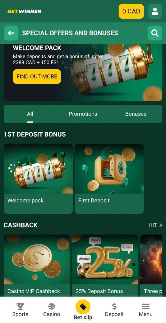 تحميل بيت وينر دليلك الشامل لاستمتاع كامل بالرهانات تحميل بيت وينر دليلك الشامل لاستمتاع كامل بالرهانات