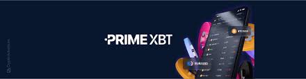 Discover the Unique Features of PrimeXBT Forex